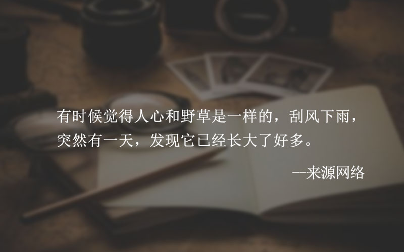 財(cái)務(wù)代理公司服務(wù)內(nèi)容都有哪些